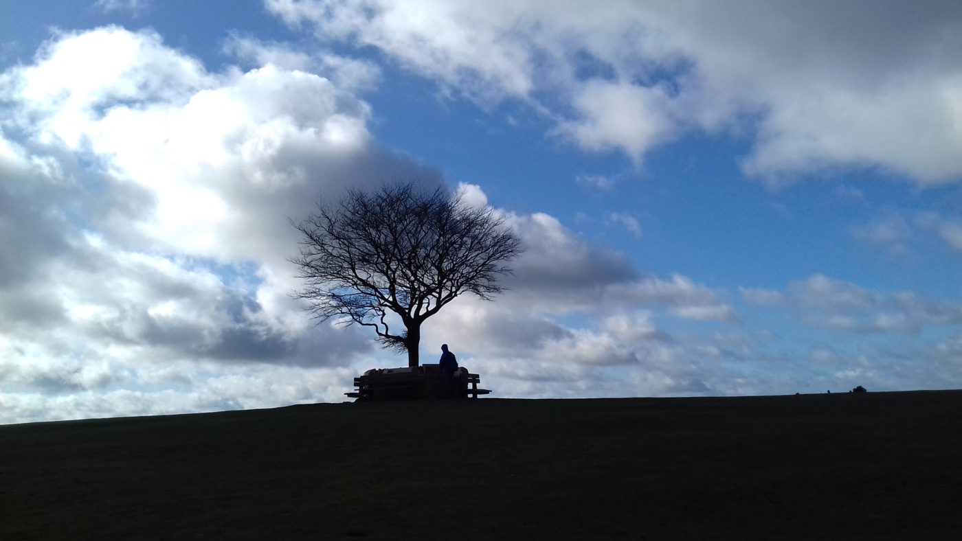 ホームページをリニューアルしました。