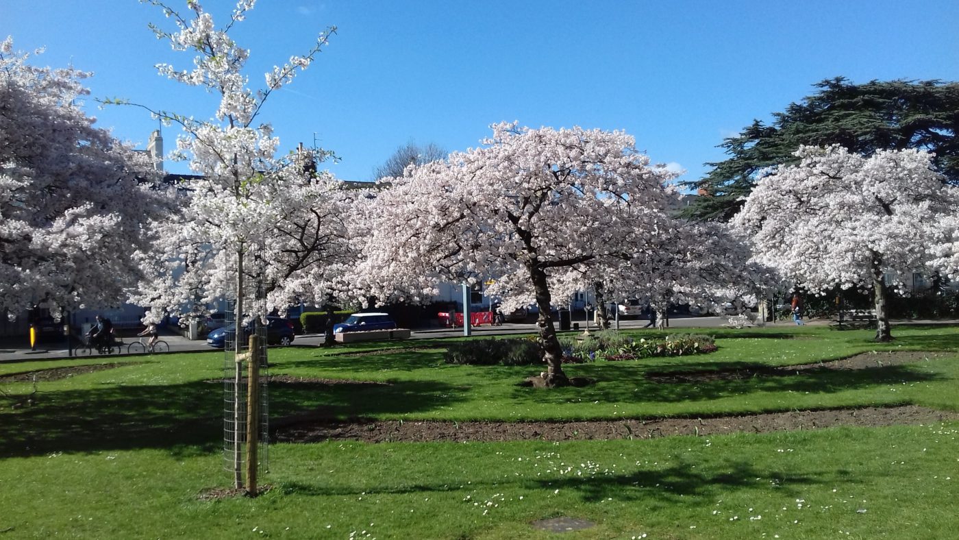 March 2019 チェルトナム