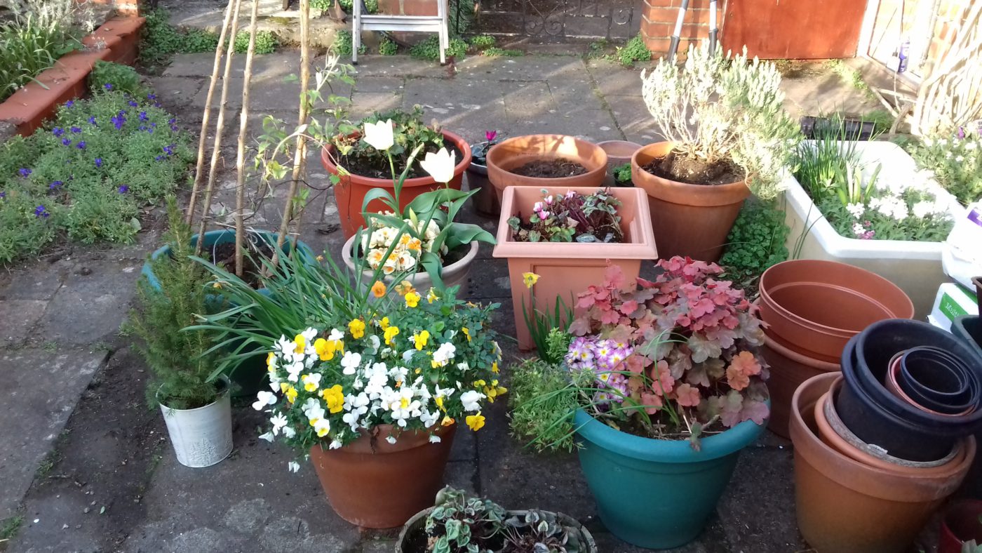 駐在員家族との交流