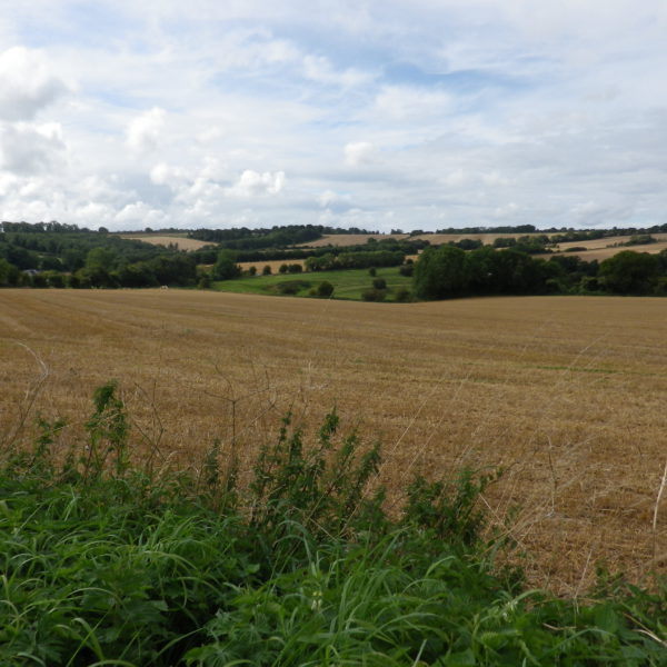 イギリス英語について