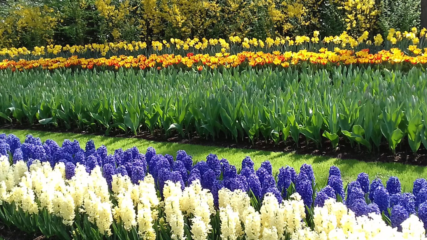 オランダ小旅行