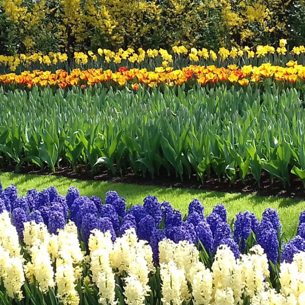 オランダ小旅行