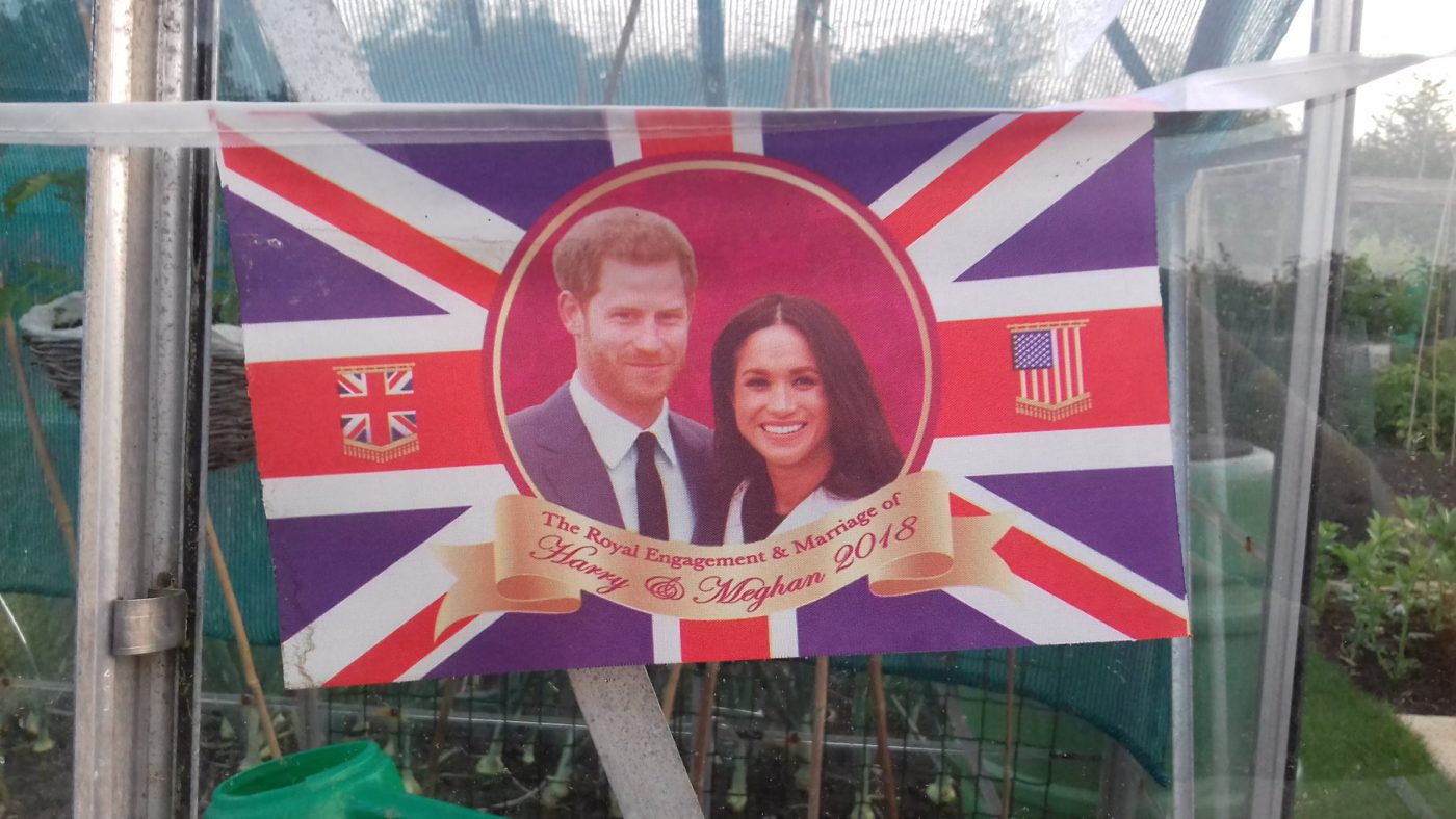 ロイヤルウエディング – 感想