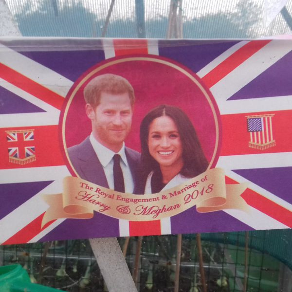 ロイヤルウエディング – 感想