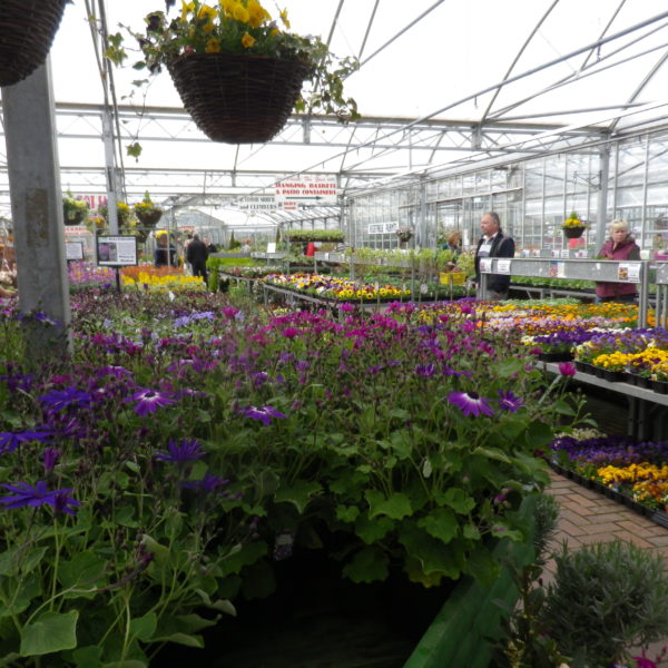 ガーデニングの季節です。