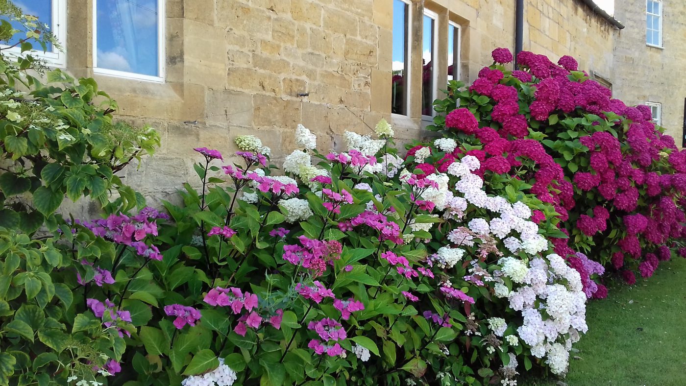 プラスチック戦争