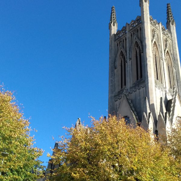 またまた巡礼の旅ーフランス編