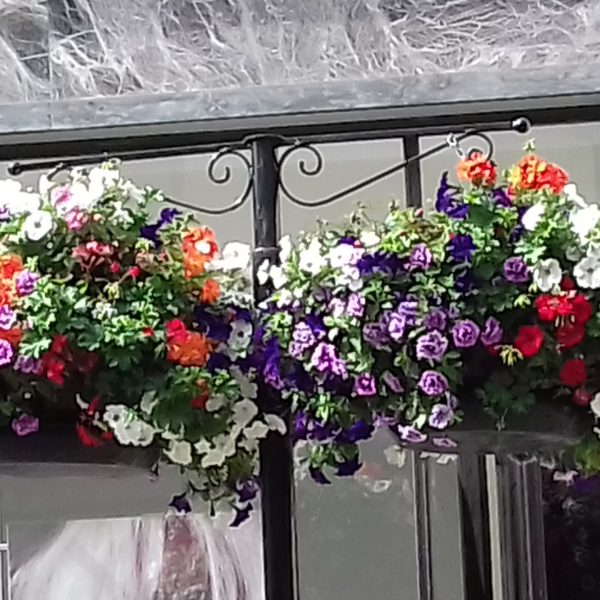 イギリスのコロナ感染事情