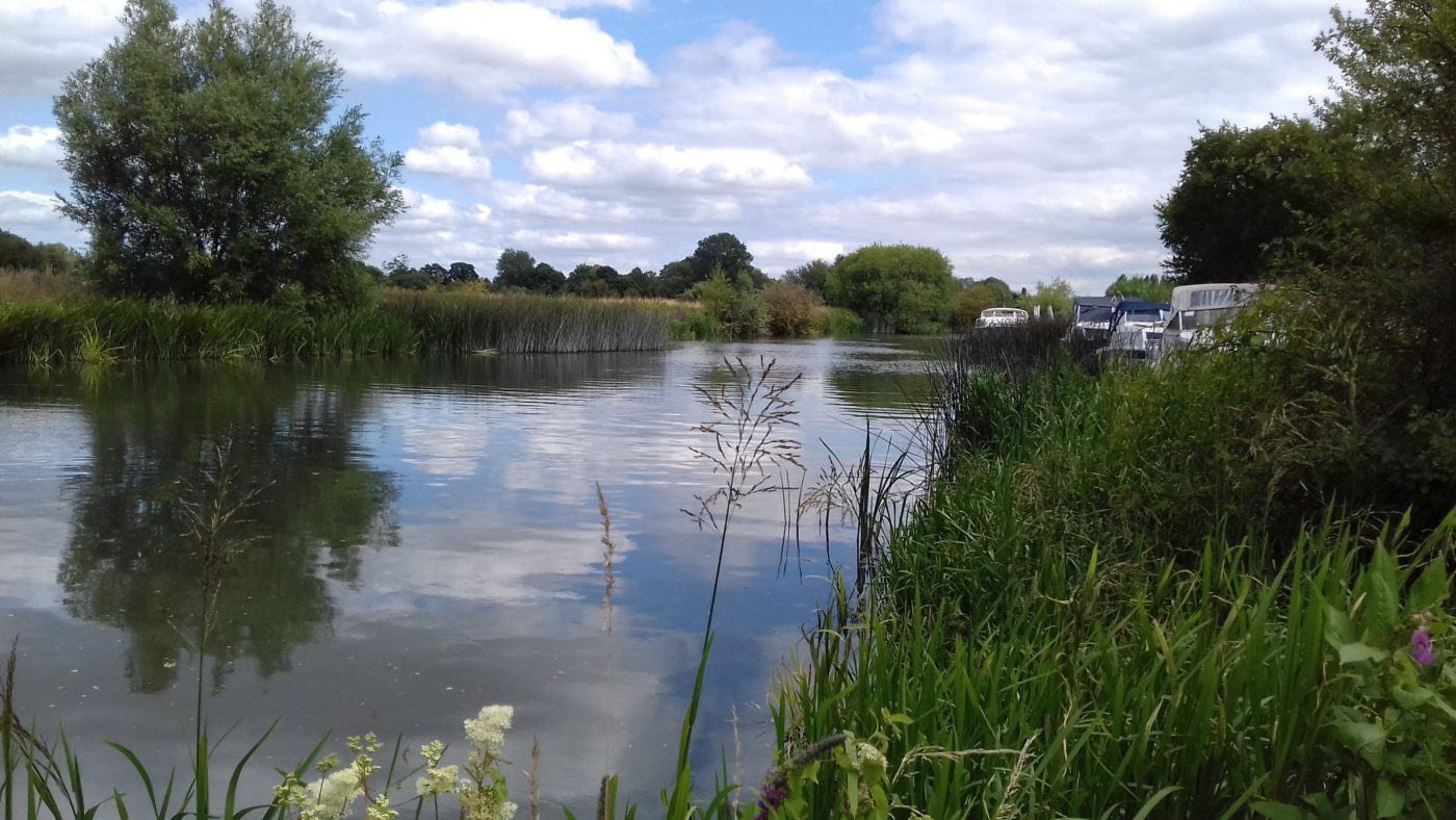 ホリデイシーズンです。