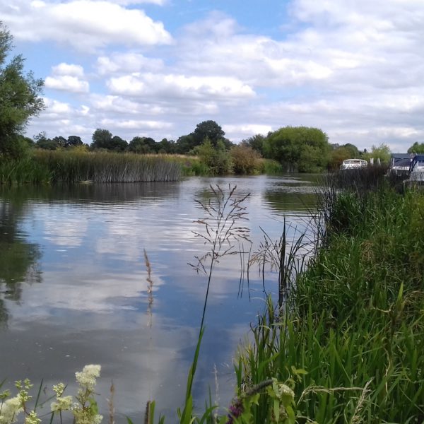 ホリデイシーズンです。