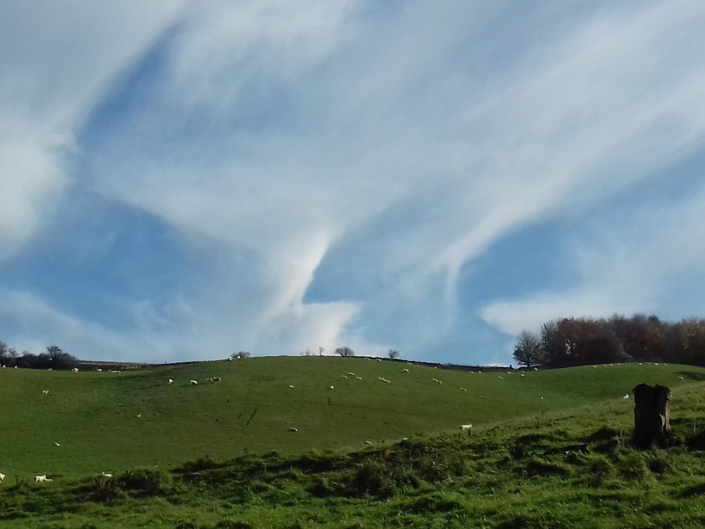 イギリス人の食事情