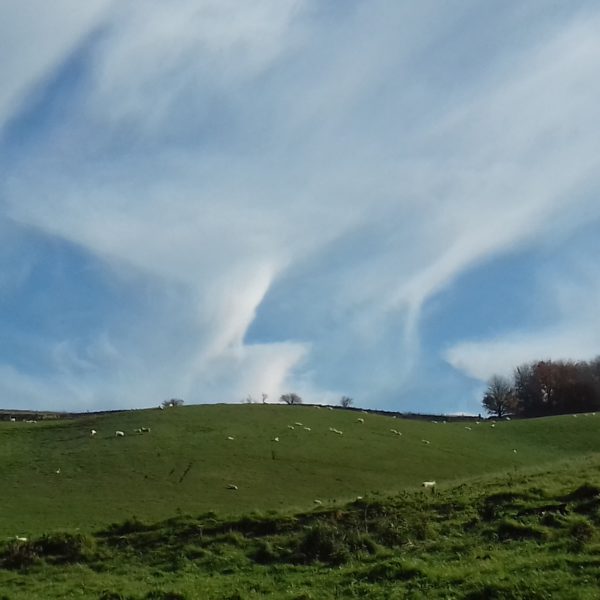 イギリス人の食事情