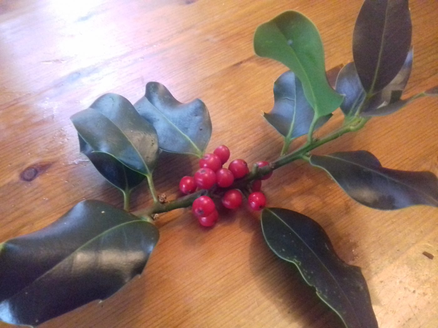 ２０２０年の暮れによせて