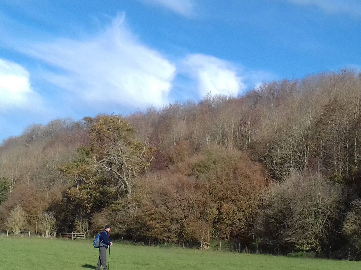あり余るリンゴをいかに食するか
