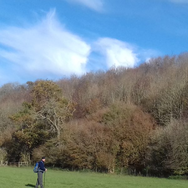 あり余るリンゴをいかに食するか