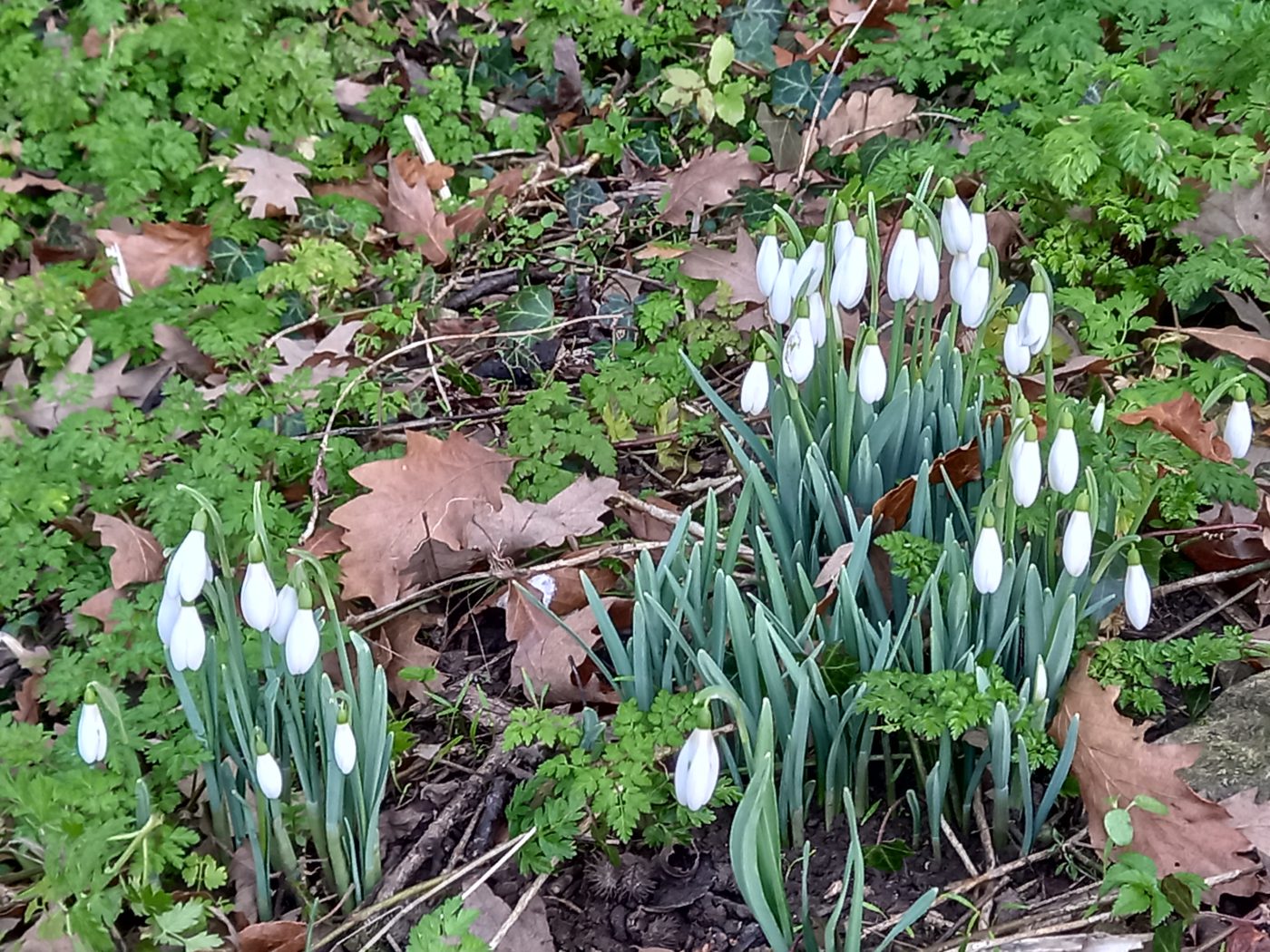 国のリーダーとしての品格？