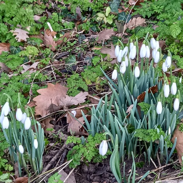 国のリーダーとしての品格？