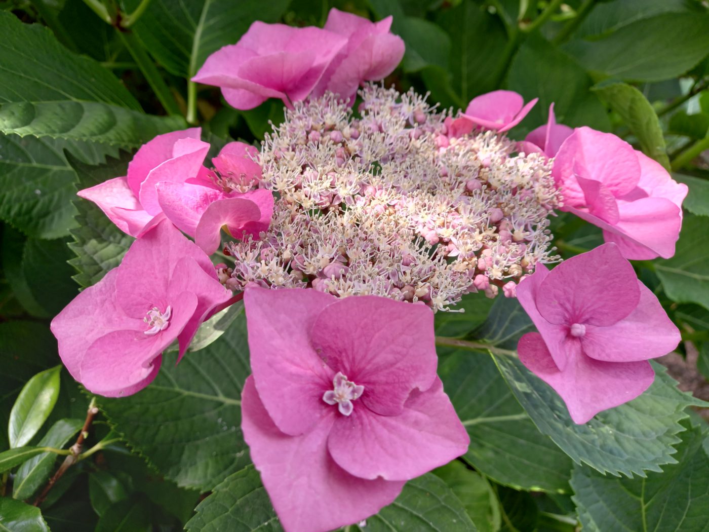 ３年ぶりの営業再開