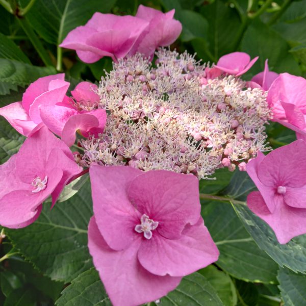 ３年ぶりの営業再開