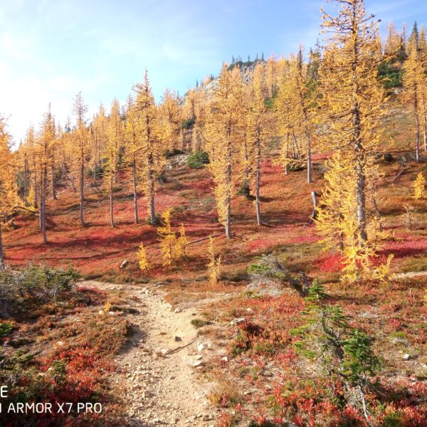 クリスマスプレゼントいろいろ