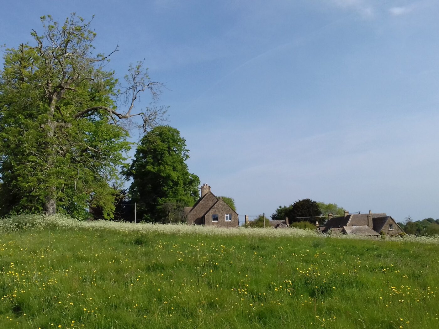 ウエールズについて