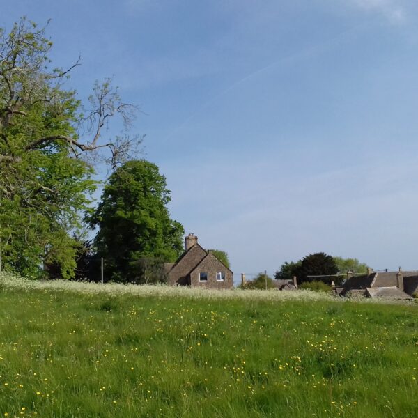 ウエールズについて