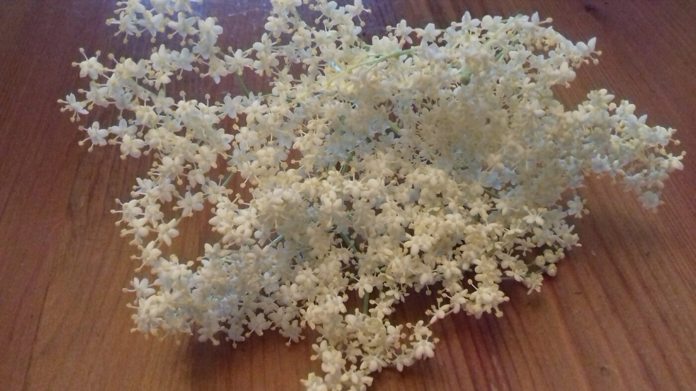 イギリス人の食事事情