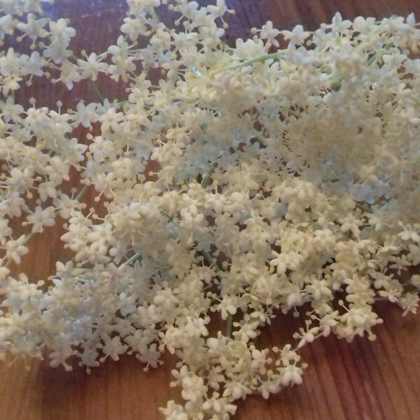 イギリス人の食事事情