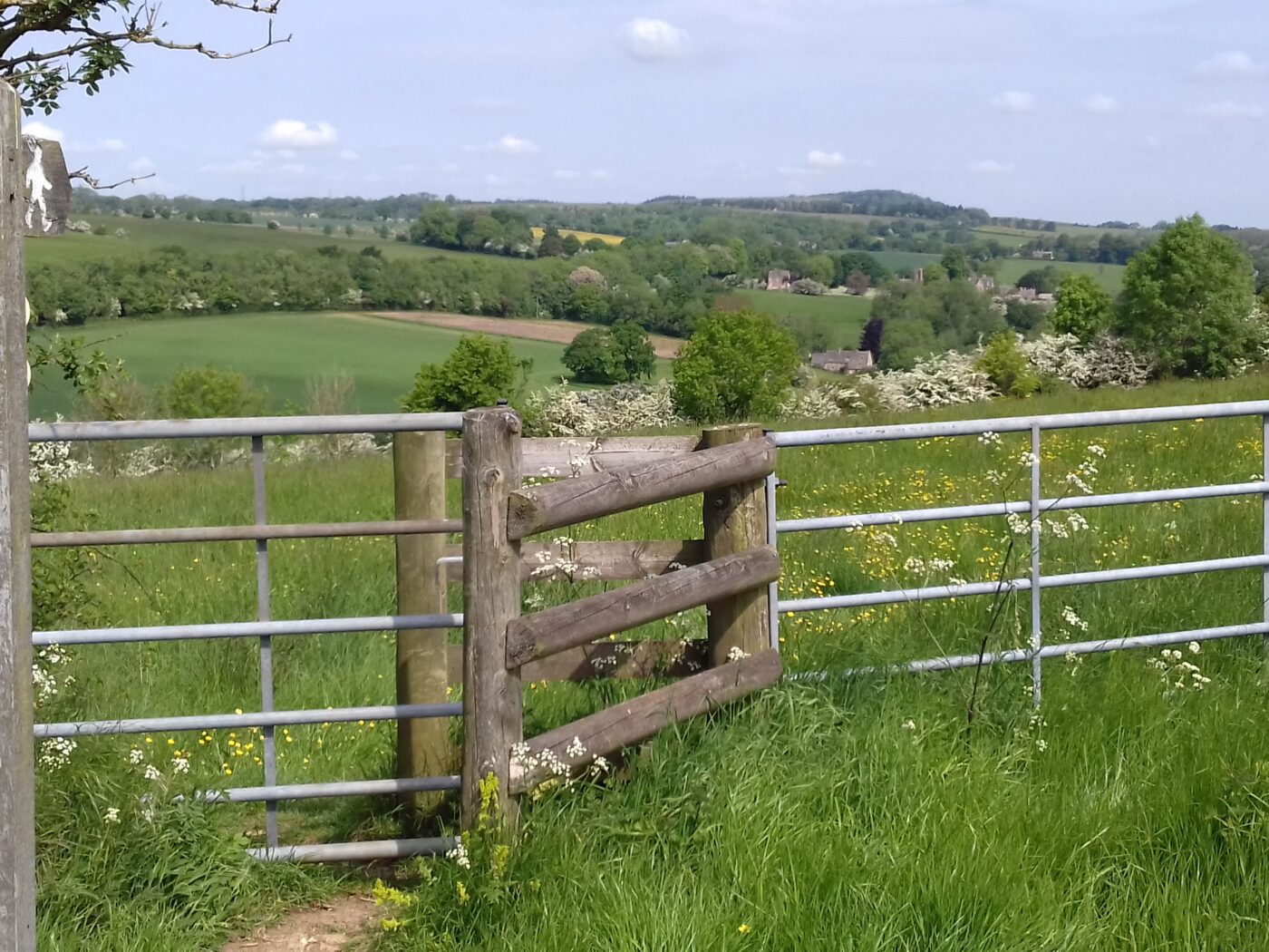ホームページ変更に寄せて