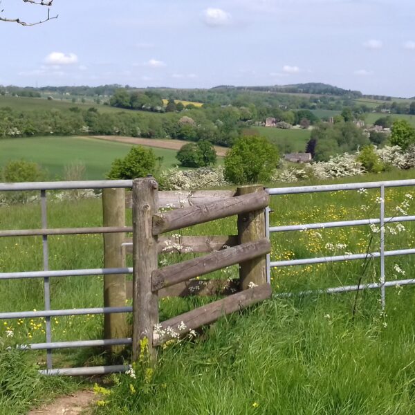 ホームページ変更に寄せて