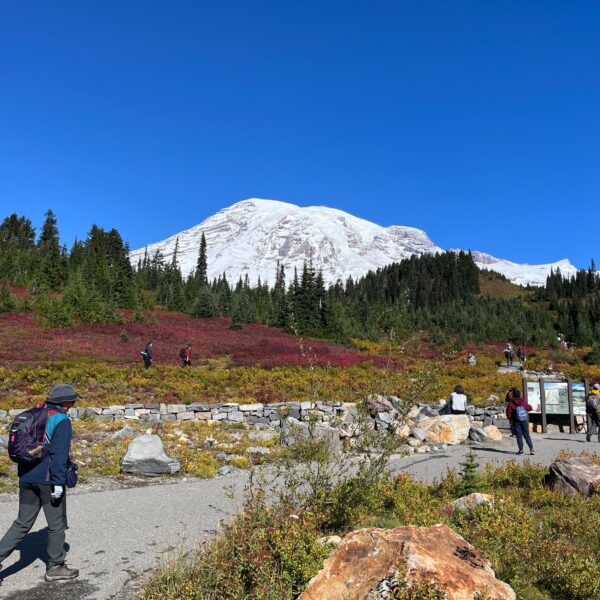 アメリカで2週間のRoad Trip