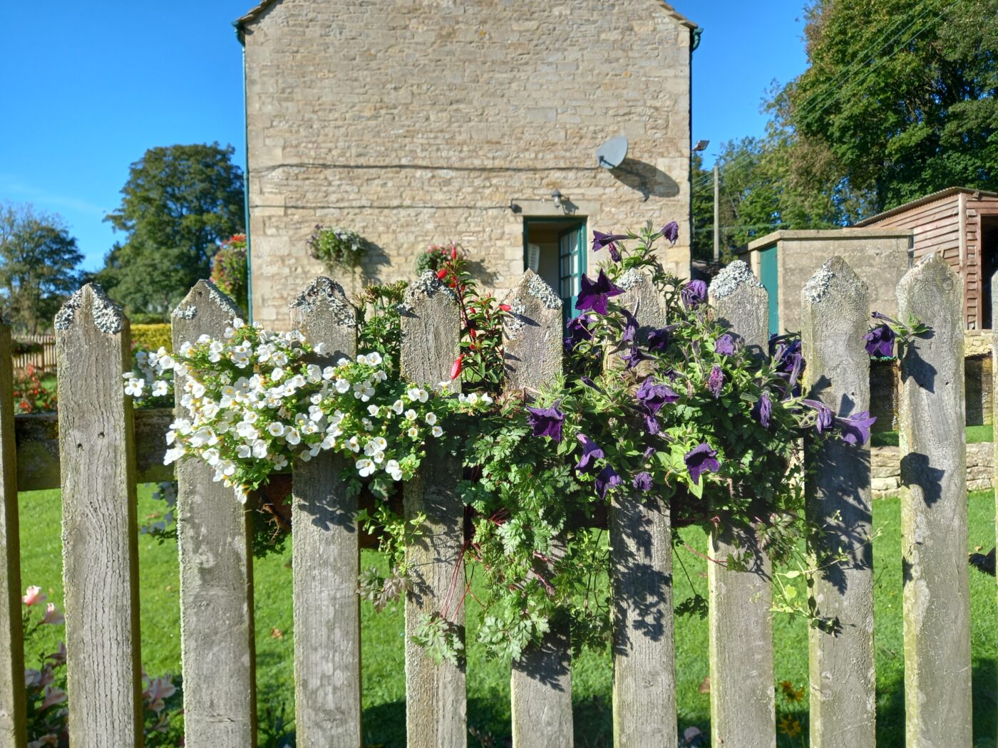 イギリスの国民健康保険制度（NHS)の現状