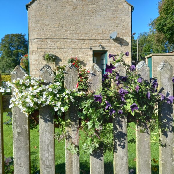 イギリスの国民健康保険制度（NHS)の現状