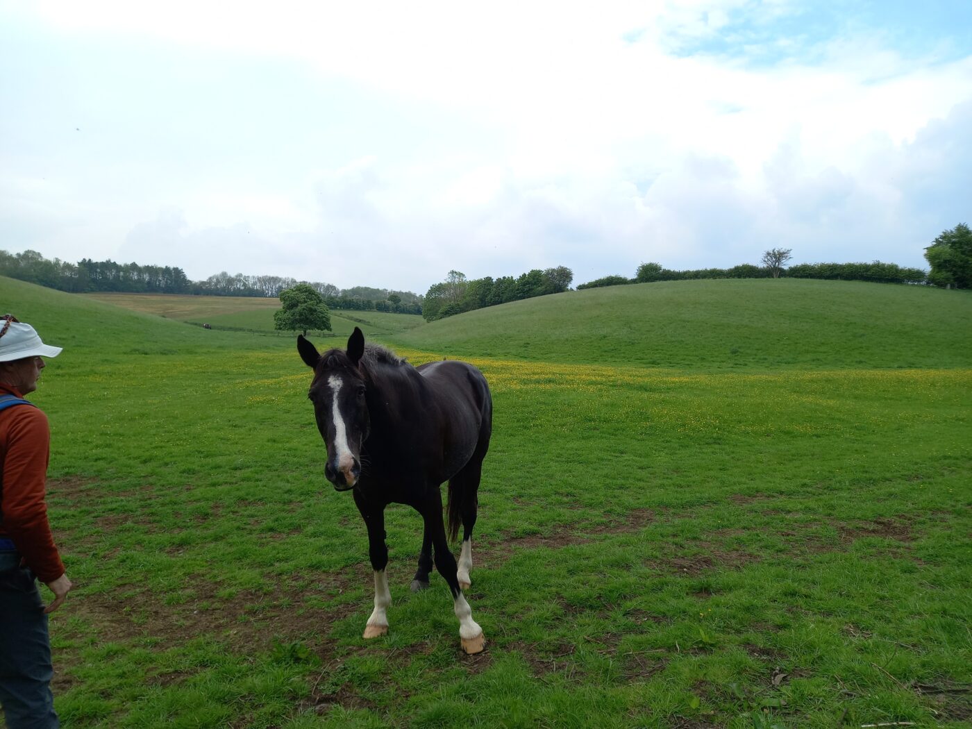 チェルトナム暮らし２５年を振り返って