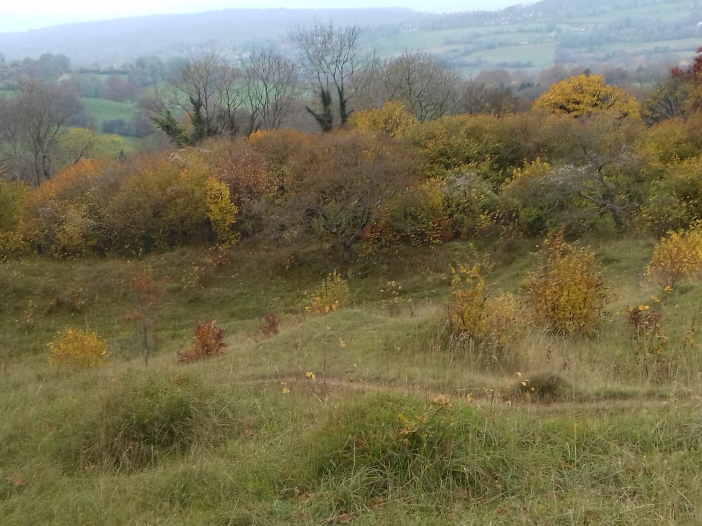 独り暮らしの１０月