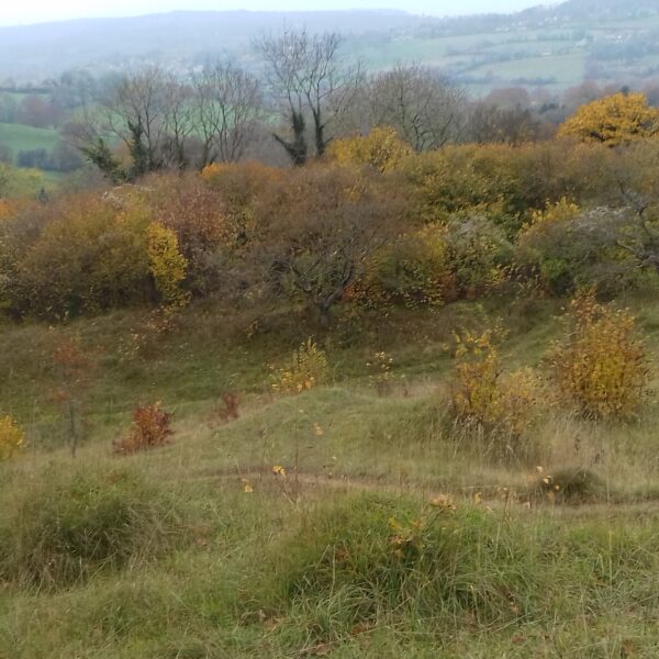 独り暮らしの１０月