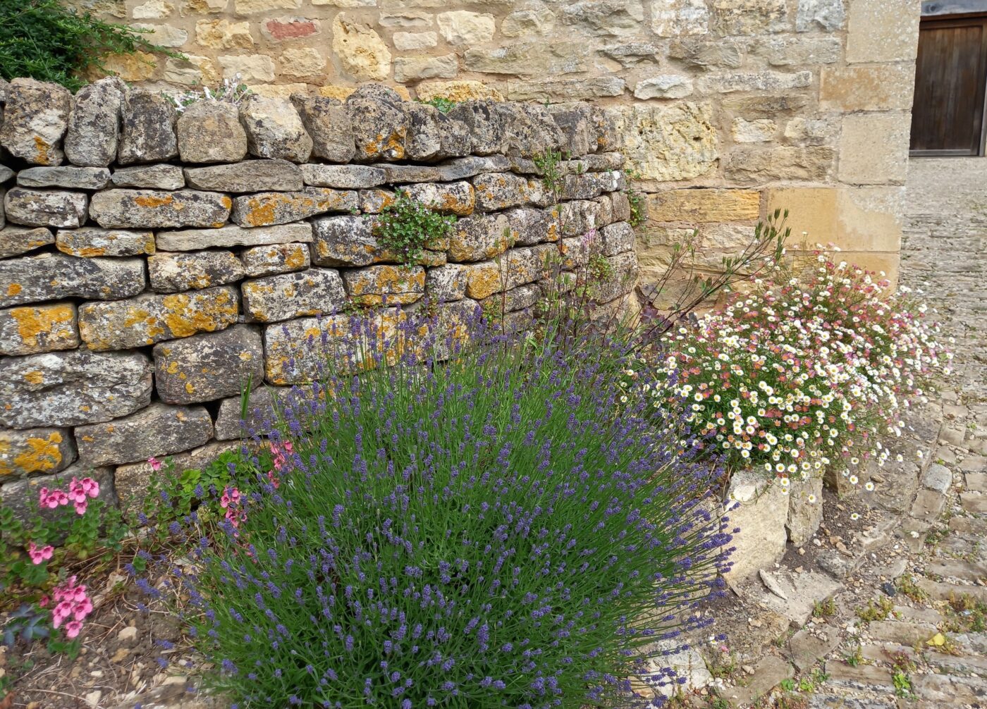 イギリスの調理器具　ー　エアフライヤー