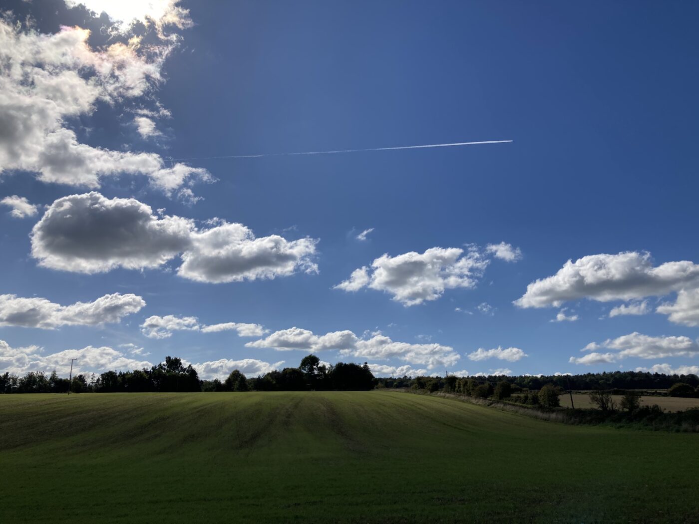 東京から来た姉弟