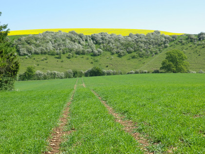 ハイキングのお勧め