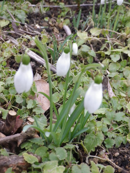 dec - feb 2015 019.JPG