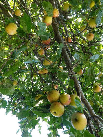 今年のシーズンを終えて。